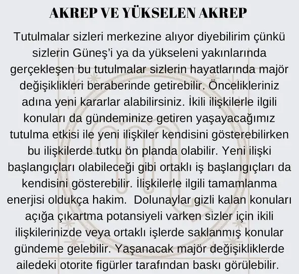 akrep3 (9).webp
