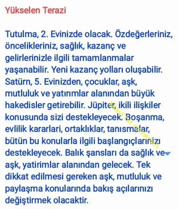 akrep3 (9).webp