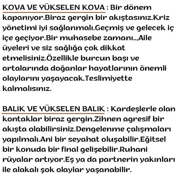 akrep30 (7).webp