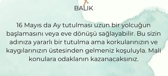 akrep31 (13).webp