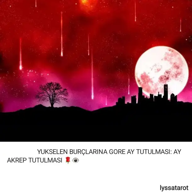 akrep31 (14).webp
