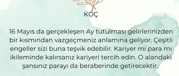 akrep31 (2).webp