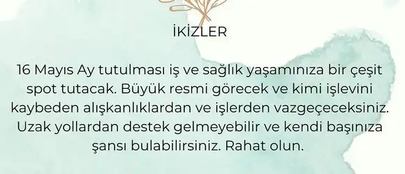 akrep31 (4).webp