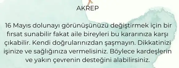 akrep31 (9).webp