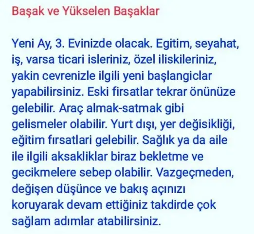 akrep32 (7).webp
