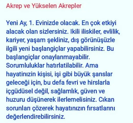 akrep32 (9).webp