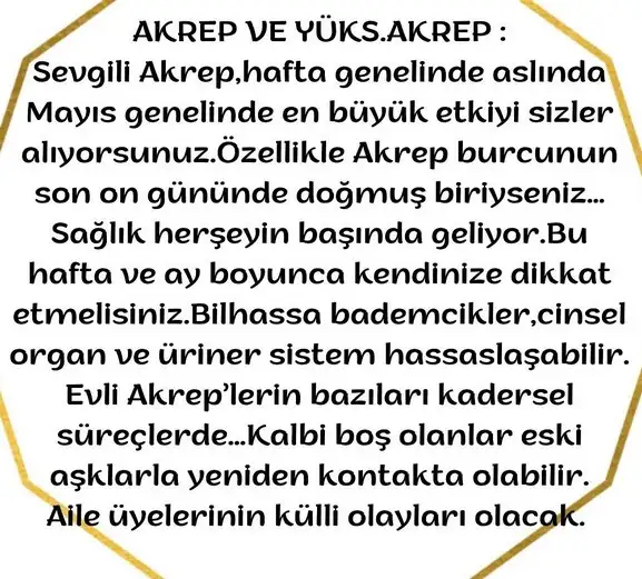 akrep33 (26).webp