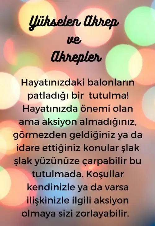 akrep34 (11).webp