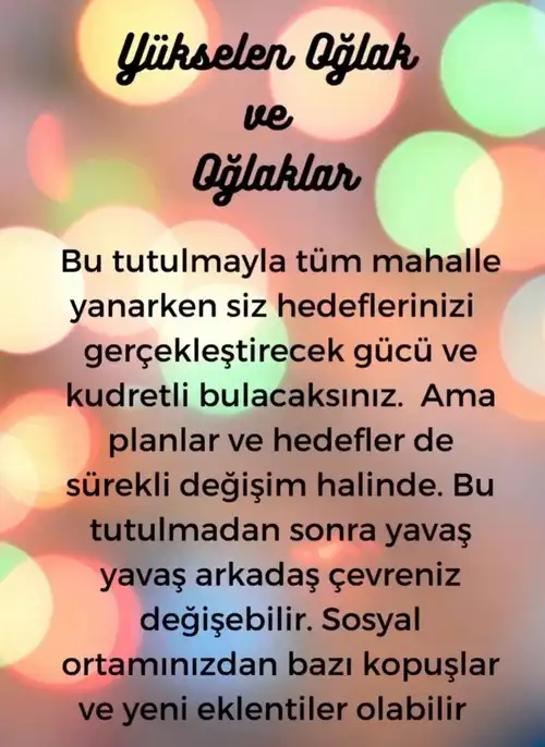 akrep34 (13).webp