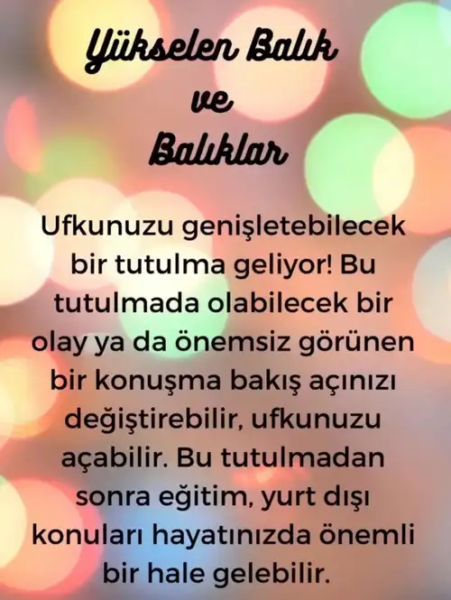 akrep34 (15).webp