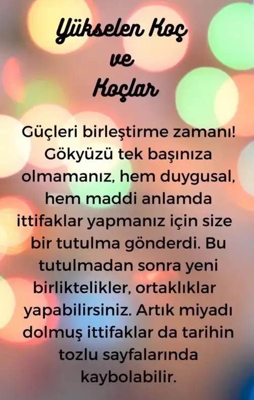 akrep34 (2).webp
