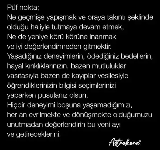 akrep34 (3).webp