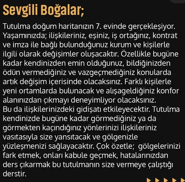 akrep35 (3).webp