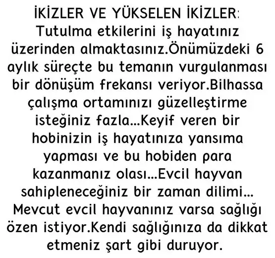 akrep38 (4).webp