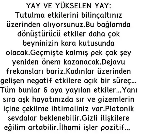 akrep38 (9)a.webp