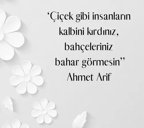 akrep4 (1).webp