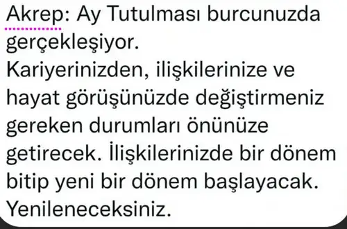 akrep4 (6).webp