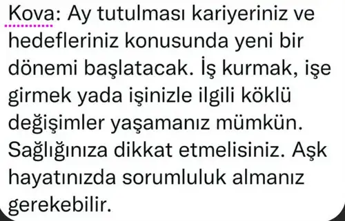 akrep4 (9).webp