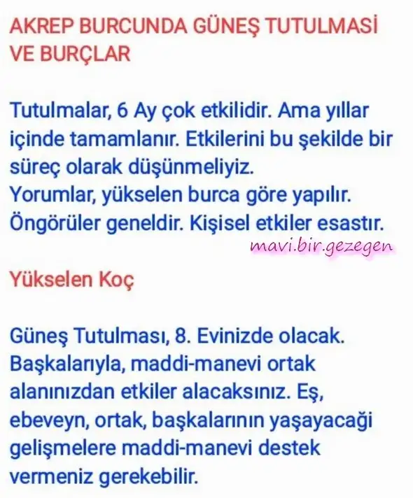 akrep40 (1).webp