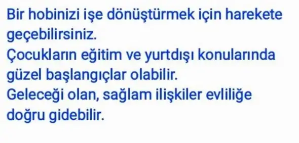 akrep40 (12).webp