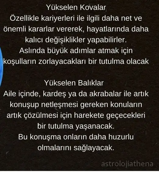 akrep46 (6).webp