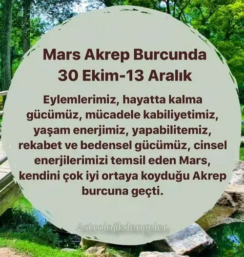 akrep5 (1).webp
