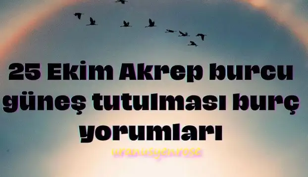 akrep5 (1).webp