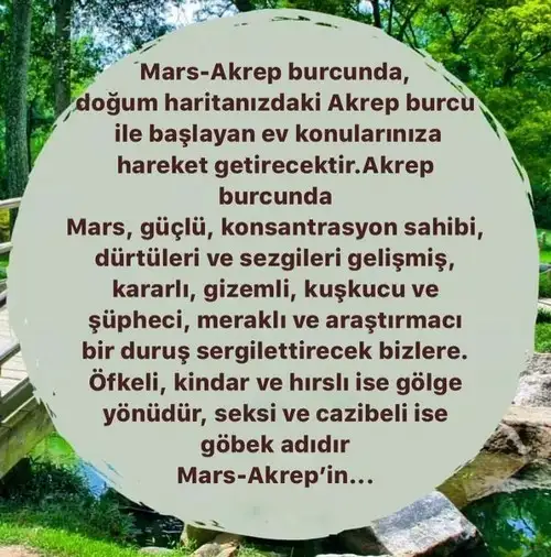 akrep5 (2).webp