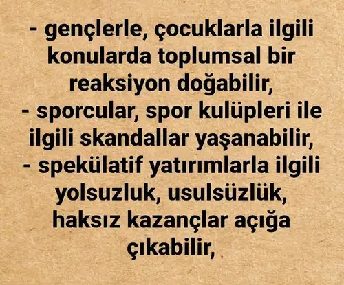akrep5 (4).jpg
