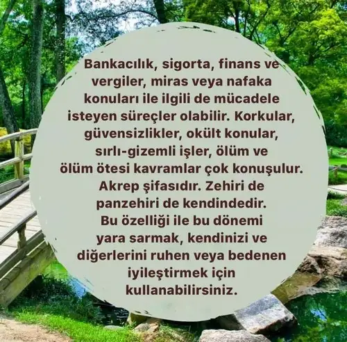 akrep5 (6).webp