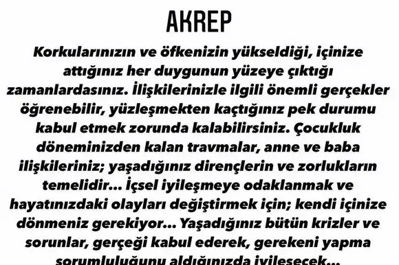 akrep5 (8).webp
