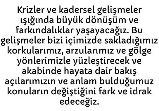 akrep58 (2).webp