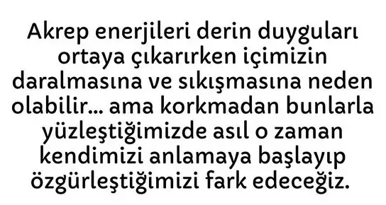 akrep58 (3).webp