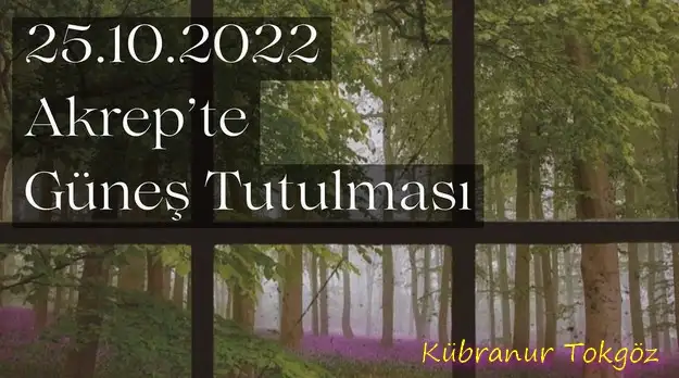 akrep64 (1).webp