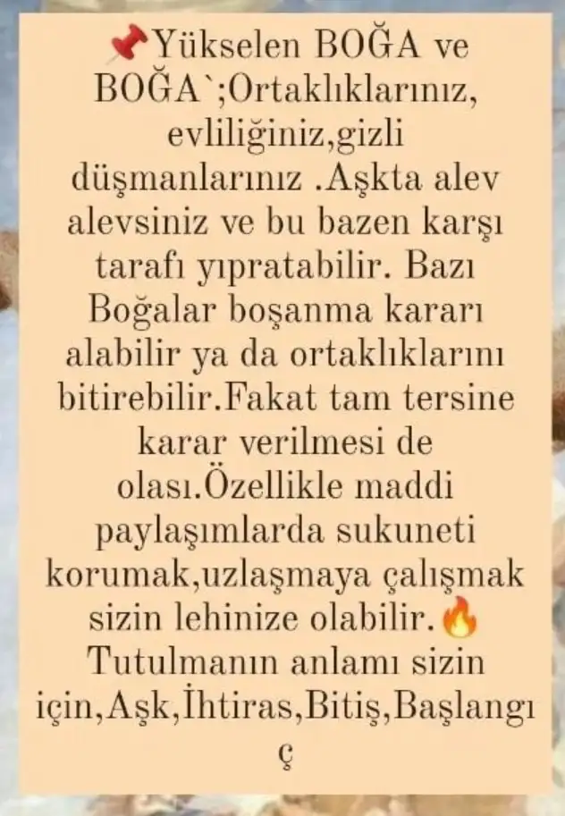 akrep67 (5).webp