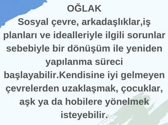 akrep7 (11).webp