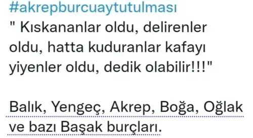 akrep7 (2).jpg