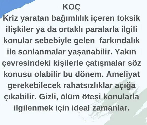 akrep7 (2).webp