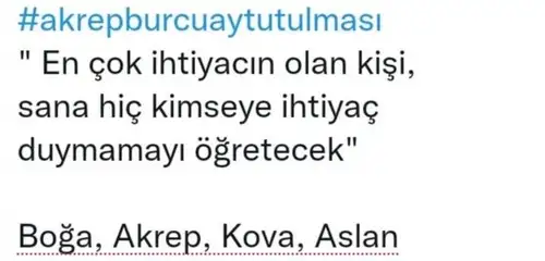 akrep7 (3).jpg