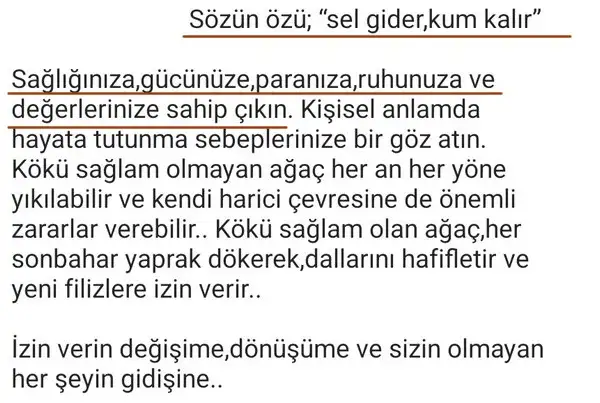 akrep72 (3).webp