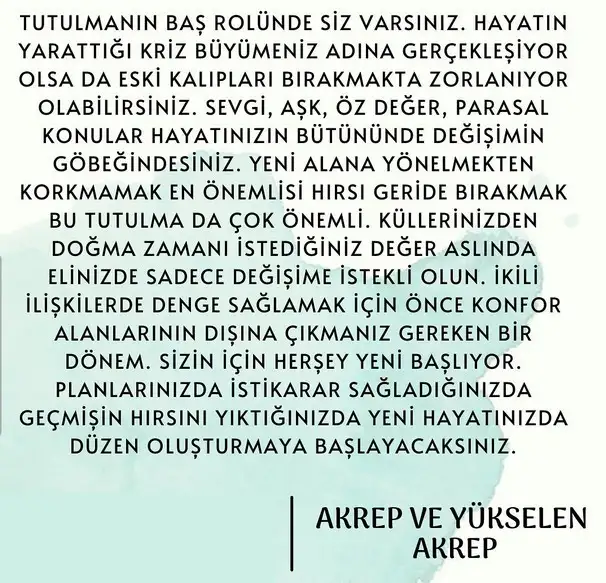 akrep82 (8).webp