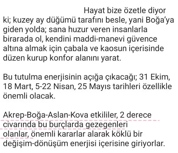 akrep9 (5).webp