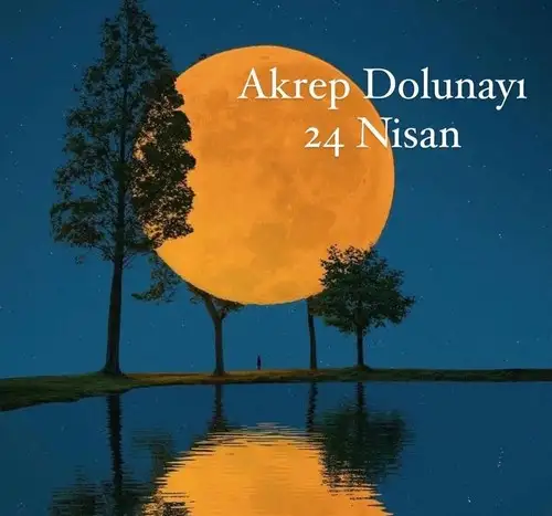 akrepp (1).webp