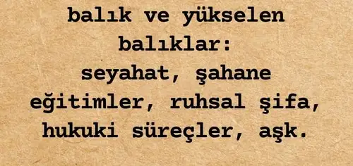 akrr3 (13).webp