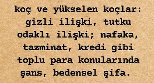 akrr3 (2).webp