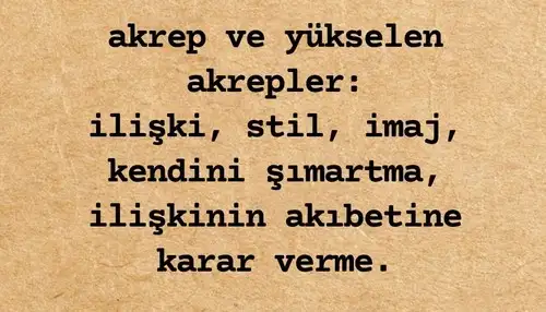 akrr3 (9).webp