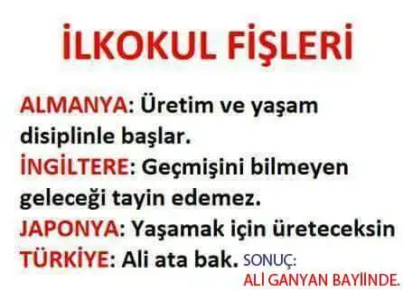 ali.webp