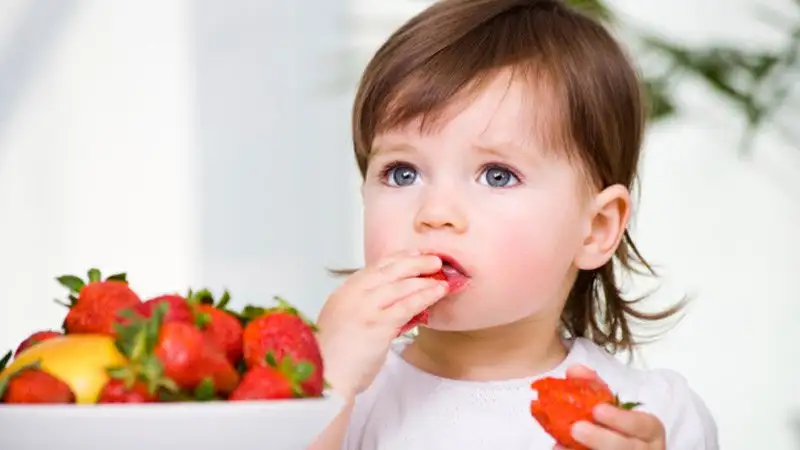 alimentation-bebe-fraise.webp