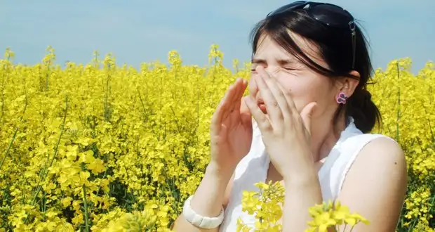 allergic-rhinitis-3.webp