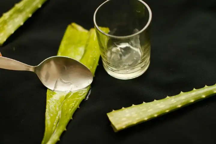 aloe-vera-nedir-faydalari-4.webp